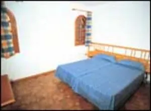 Contactos de Jardin Canario